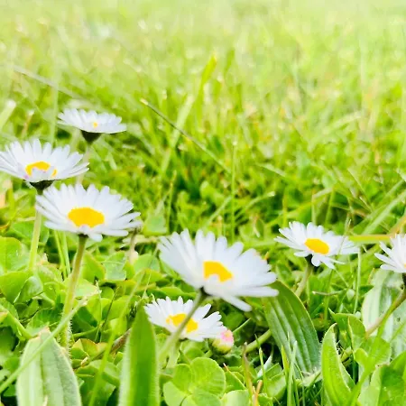 Dargatz Appartamento Lussvitz